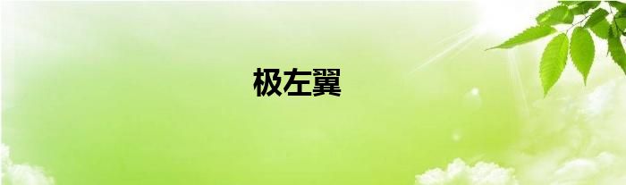 极左翼