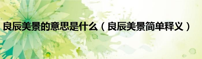 良辰美景的意思是什么（良辰美景简单释义）