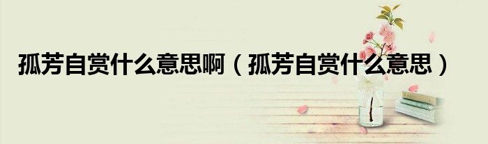 孤芳自赏什么意思啊(孤芳自赏什么意思)