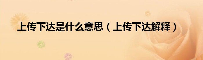 上传下达是什么意思(上传下达解释)