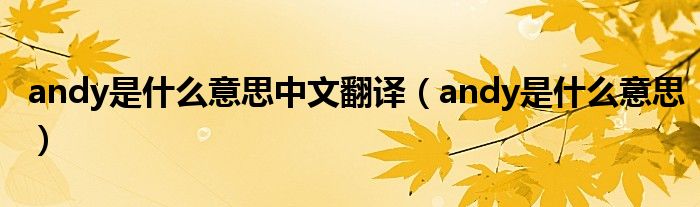 andy是什么意思中文翻译(andy是什么意思)