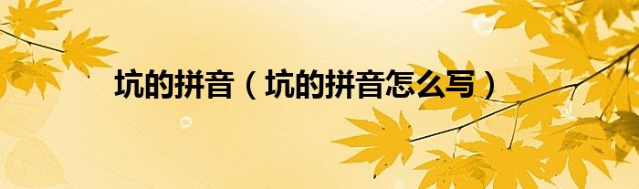 坑的拼音(坑的拼音怎么写)