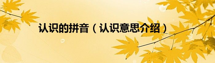 认识的拼音(认识意思介绍)