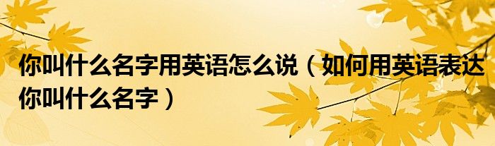 你叫什么名字用英语怎么说(如何用英语表达你叫什么名字)
