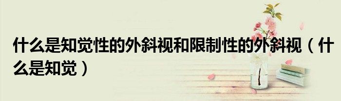 什么是知觉性的外斜视和限制性的外斜视（什么是知觉）
