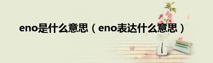 eno是什么意思(eno表达什么意思)