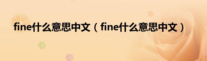 fine什么意思中文(fine什么意思中文)
