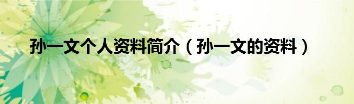 孙一文个人资料简介(孙一文的资料)