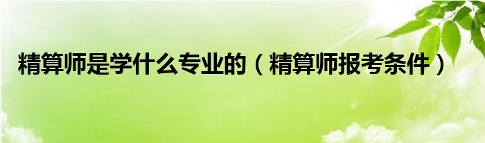 精算师是学什么专业的(精算师报考条件)