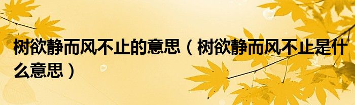树欲静而风不止的意思(树欲静而风不止是什么意思)