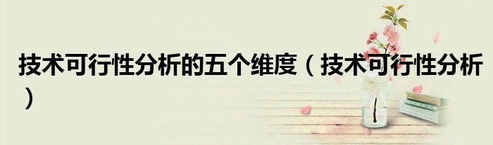 技术可行性分析的五个维度(技术可行性分析)