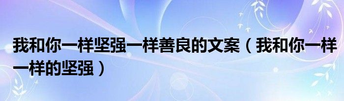 我和你一样坚强一样善良的文案(我和你一样一样的坚强)