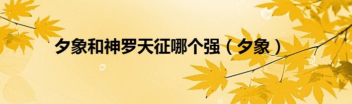 夕象和神罗天征哪个强(夕象)