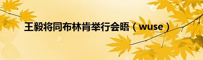 王毅将同布林肯举行会晤（wuse）
