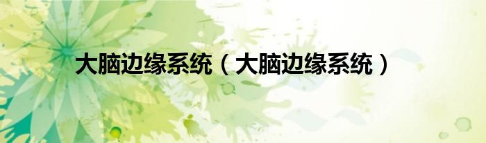大脑边缘系统(大脑边缘系统)