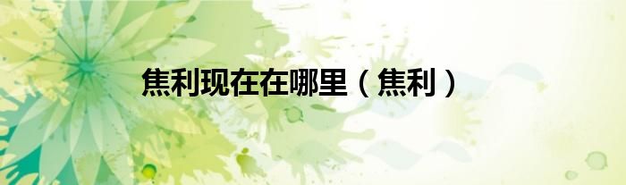 焦利现在在哪里（焦利）