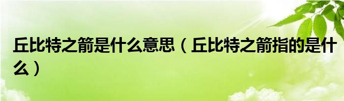 丘比特之箭是什么意思(丘比特之箭指的是什么)