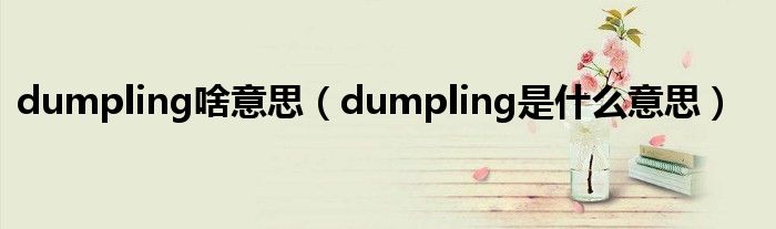 dumpling啥意思(dumpling是什么意思)