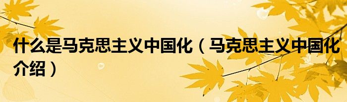 什么是马克思主义中国化（马克思主义中国化介绍）
