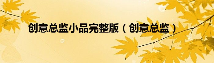 创意总监小品完整版(创意总监)