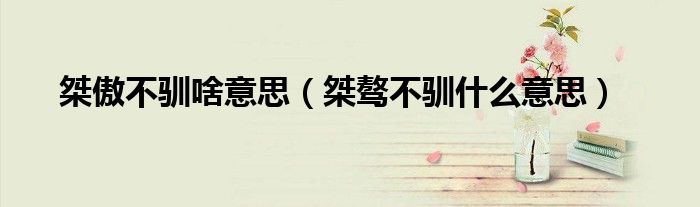 桀傲不驯啥意思(桀骜不驯什么意思)