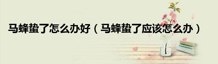 马蜂蛰了怎么办好(马蜂蛰了应该怎么办)