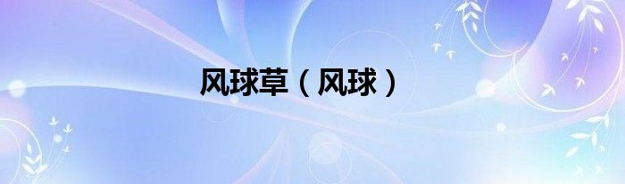 风球草（风球）