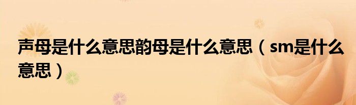 声母是什么意思韵母是什么意思(sm是什么意思)