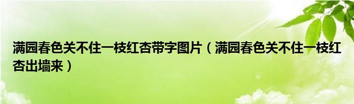 满园春色关不住一枝红杏带字图片(满园春色关不住一枝红杏出墙来)