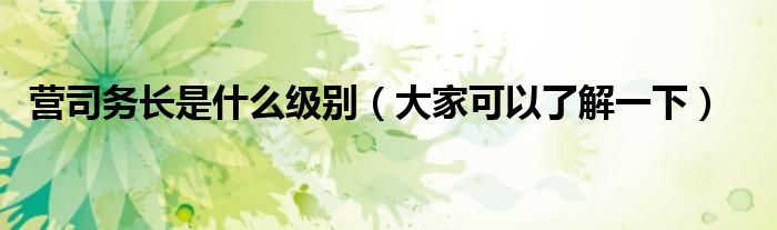 营司务长是什么级别(大家可以了解一下)