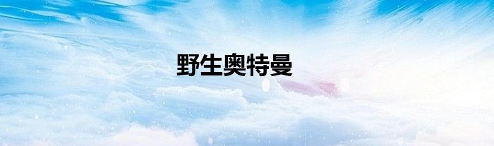 野生奥特曼