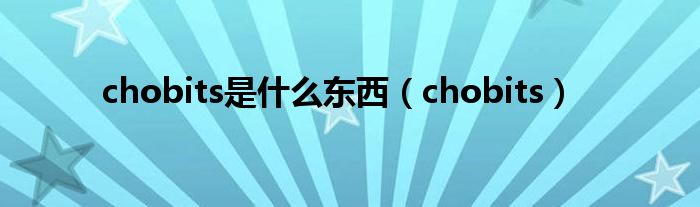 chobits是什么东西(chobits)