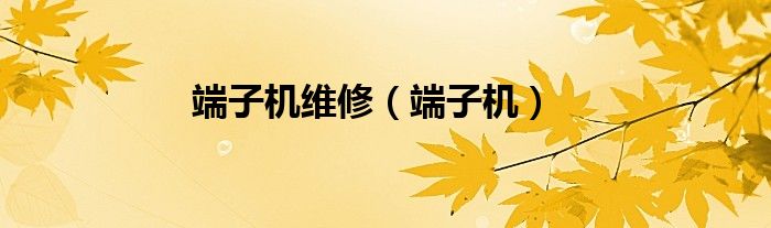 端子机维修（端子机）