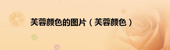 芙蓉颜色的图片(芙蓉颜色)