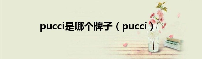 pucci是哪个牌子(pucci)
