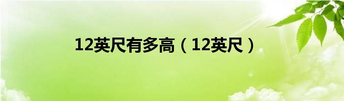 12英尺有多高(12英尺)