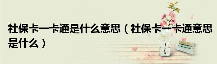 社保卡一卡通是什么意思(社保卡一卡通意思是什么)