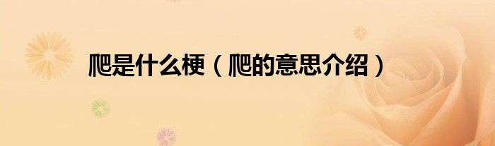 爬是什么梗(爬的意思介绍)