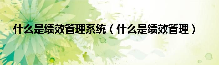 什么是绩效管理系统(什么是绩效管理)