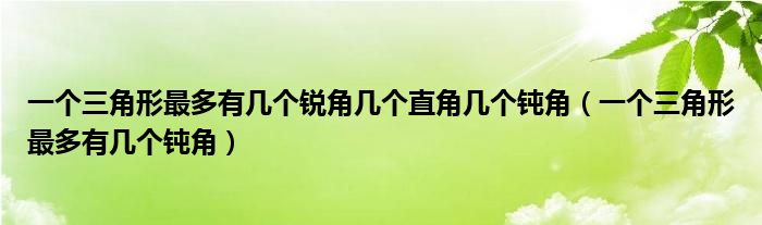 一个三角形最多有几个锐角几个直角几个钝角(一个三角形最多有几个钝角)