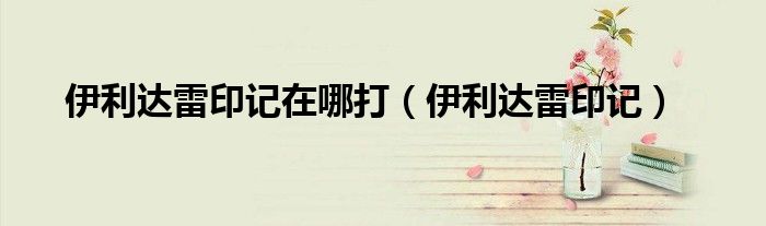 伊利达雷印记在哪打(伊利达雷印记)