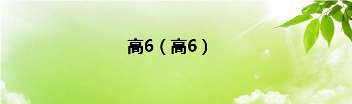 高6（高6）