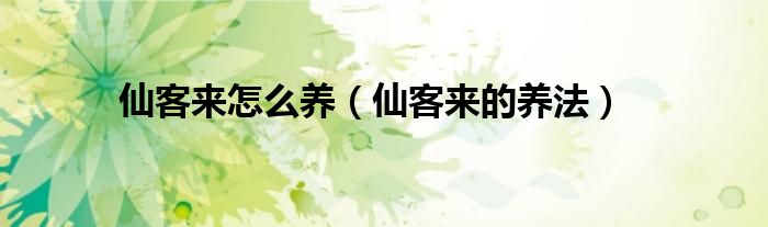 仙客来怎么养(仙客来的养法)
