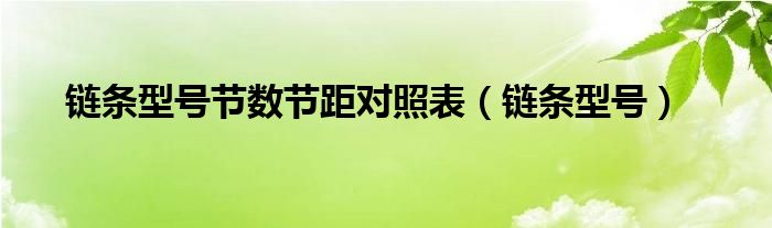 链条型号节数节距对照表(链条型号)