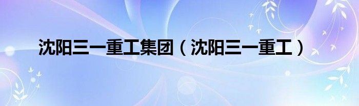 沈阳三一重工集团(沈阳三一重工)