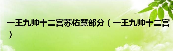 一王九帅十二宫苏佑慧部分(一王九帅十二宫)