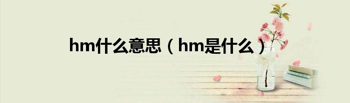 hm什么意思(hm是什么)