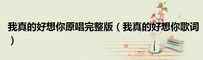 我真的好想你原唱完整版(我真的好想你歌词)