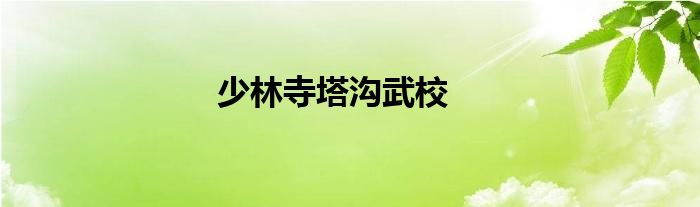 少林寺塔沟武校