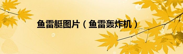 鱼雷艇图片（鱼雷轰炸机）